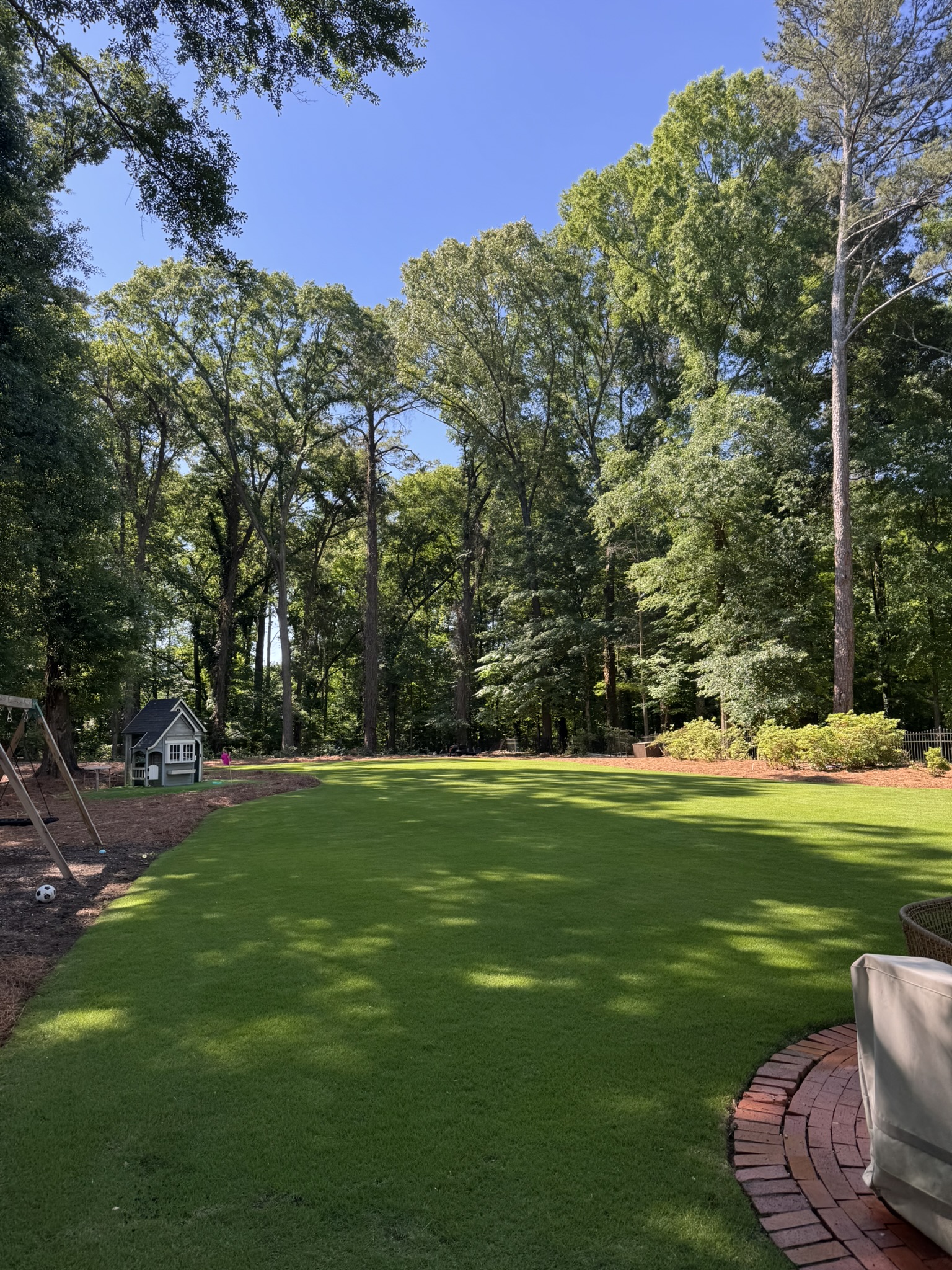 Healthy green backyard lawn surrounded by mature trees